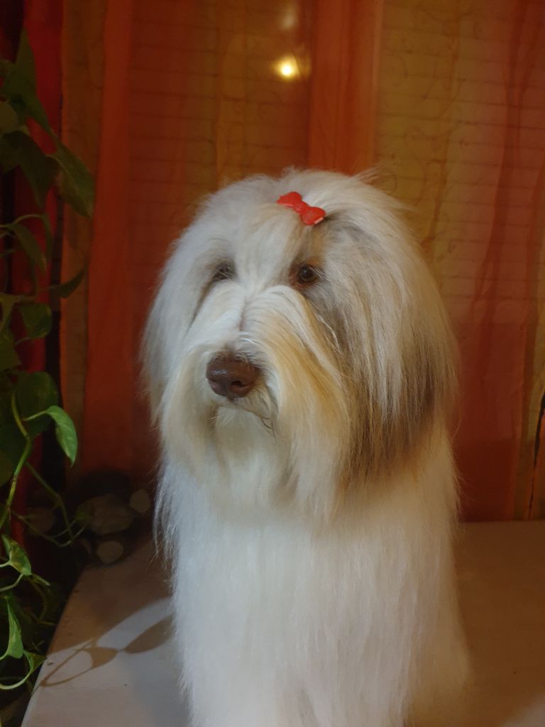 Pearl Du Mas De L'Oisonnière