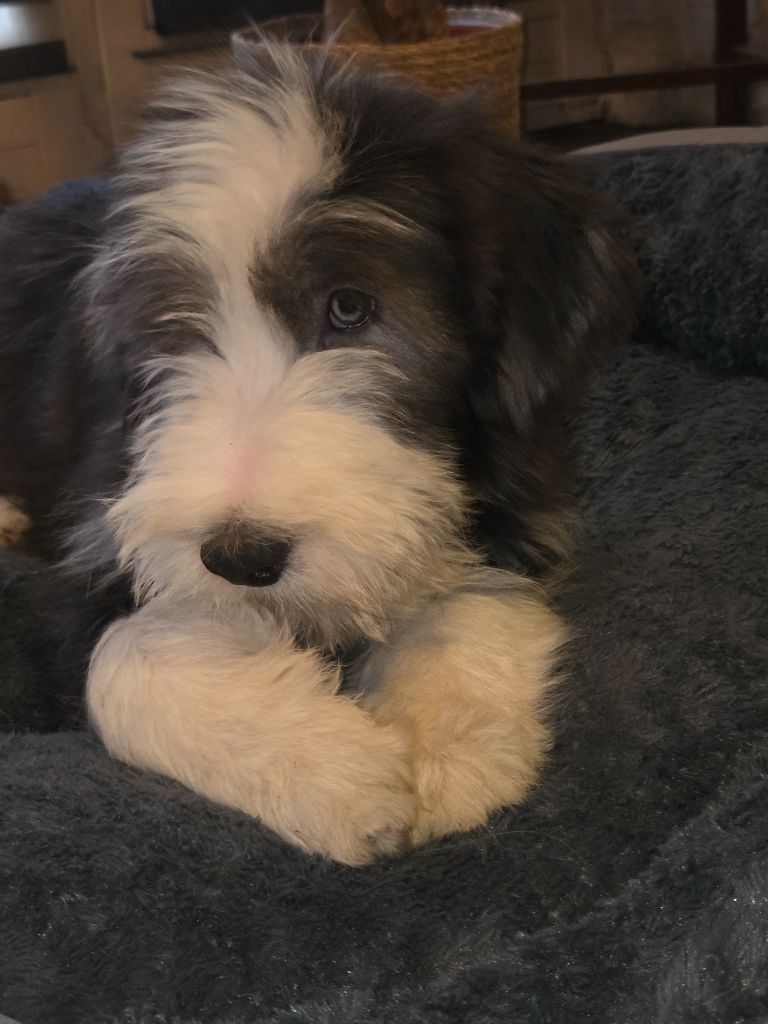 Nos merveilles 2025 sont nés 